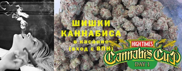 альфа пвп Гусиноозёрск