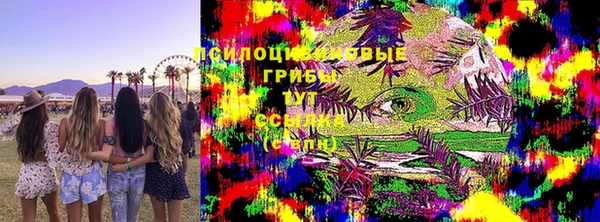 альфа пвп Гусиноозёрск