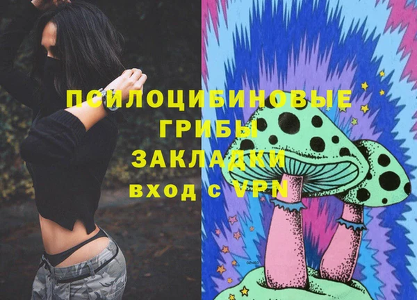 Альфа ПВП Гусь-Хрустальный